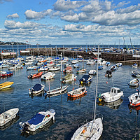 Buy canvas prints of Serene, sunny Paignton harbour by Frank Irwin
