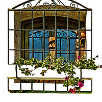 Buy canvas prints of Decorative window in Funchal, Madeira. by Frank Irwin