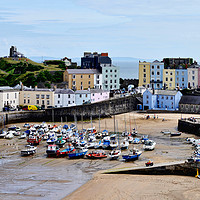 Buy canvas prints of Tenby Harbour, Wales, UK by Frank Irwin