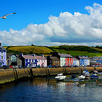 Buy canvas prints of Aberaeron Harbour, Tide out! by Frank Irwin