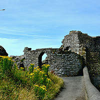 Buy canvas prints of Part of Aberystwyth Castle by Frank Irwin