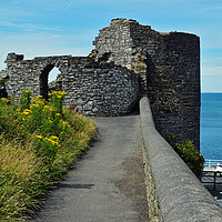 Buy canvas prints of Part of Aberystwyth Castle by Frank Irwin