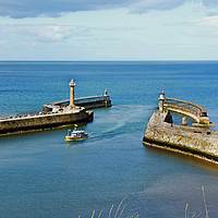 Buy canvas prints of Whitby Harbour by Frank Irwin