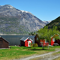 Buy canvas prints of Norwegian Fjord landscape by Frank Irwin