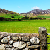 Buy canvas prints of Typical Welsh landscape by Frank Irwin