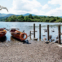 Buy canvas prints of Rowing boats on Derwent water by Frank Irwin