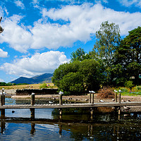 Buy canvas prints of "Gulls in a row" on Derwent Water by Frank Irwin