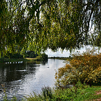 Buy canvas prints of View on the River Trent from the Riverside Hotel. by Frank Irwin