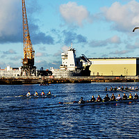 Buy canvas prints of Oarsmen training on Wirral's West Float by Frank Irwin