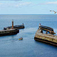 Buy canvas prints of A small boat leaving Whitby Harbour by Frank Irwin