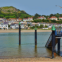 Buy canvas prints of South West Llandudno viewed from Conway. by Frank Irwin