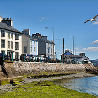 Buy canvas prints of Aberdovey by Frank Irwin