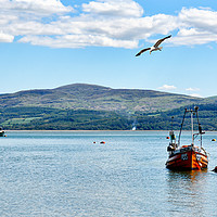 Buy canvas prints of River Dyfi meets the blue waters of Cardigan Bay  by Frank Irwin