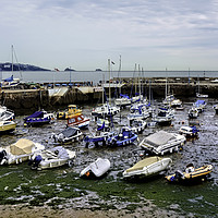 Buy canvas prints of Paignton Harbour - Low Tide. by Frank Irwin