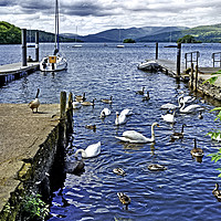 Buy canvas prints of UK Lake District - Windermere by Frank Irwin