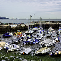 Buy canvas prints of Paignton Harbour - Low Tide.  by Frank Irwin