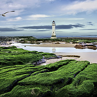 Buy canvas prints of Perch Rock Lighthouse by Frank Irwin