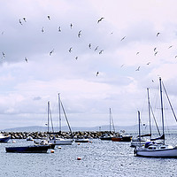 Buy canvas prints of Rhos-on-Sea, North Wales by Frank Irwin