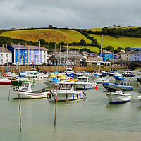Buy canvas prints of Aberaeron Harbour, North Wales by Frank Irwin