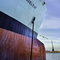 Buy canvas prints of RfA Tanker Orangeleaf, in Birkenhead Docks by Frank Irwin