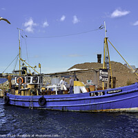 Buy canvas prints of Local sales, Fish for Sale here by Frank Irwin