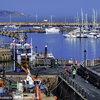 Buy canvas prints of Brixham Harbour's marina by Frank Irwin