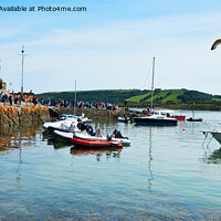 Buy canvas prints of A seagull flies over New Quay Harbour by Frank Irwin