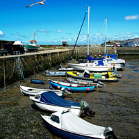 Buy canvas prints of The beautiful harbour of Aberaeron by Frank Irwin