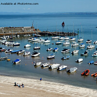 Buy canvas prints of The Beautiful New Quay harbour in West Wales by Frank Irwin