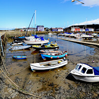 Buy canvas prints of The beautiful Aberaeron Harbour by Frank Irwin