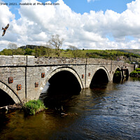Buy canvas prints of Pont ar Dyfi (Machynlleth Bridge) by Frank Irwin