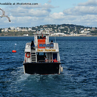 Buy canvas prints of The Dart Princess leaving Paignton by Frank Irwin