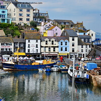 Buy canvas prints of Seaward end of Brixham Harbour by Frank Irwin