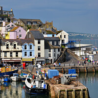 Buy canvas prints of Brixham's busy little harbour by Frank Irwin