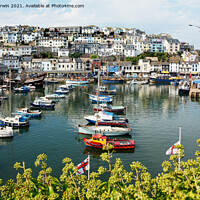 Buy canvas prints of The little busy harbour of Brixham by Frank Irwin