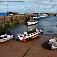 Buy canvas prints of Sheltering within the harbour walls by Frank Irwin