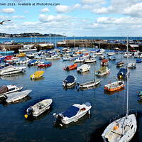 Buy canvas prints of Sedate little Paignton Harbour by Frank Irwin