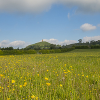 Buy canvas prints of Buttercups At Glastonbury by Roger Byng