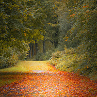 Buy canvas prints of Autumn Is Coming by Gareth Burge Photography