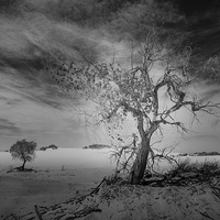 Buy canvas prints of White Sands National Monument #1, mono(dark) by Gareth Burge Photography