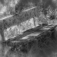 Buy canvas prints of Forgotten Bench by Gareth Burge Photography