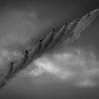 Buy canvas prints of Line Abreast by Gareth Burge Photography