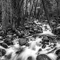 Buy canvas prints of Bridalveil Creek, Yosemite National Park by Gareth Burge Photography