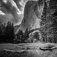 Buy canvas prints of El Capitan from the Meadow by Gareth Burge Photography