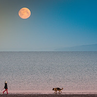 Buy canvas prints of Just the Moon and my Best Friend by Gareth Burge Photography