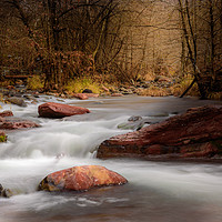 Buy canvas prints of Autumn Stream, Arizona by Gareth Burge Photography
