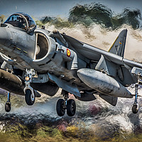 Buy canvas prints of Harrier Hover by Gareth Burge Photography