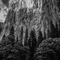 Buy canvas prints of El Capitan Monolith by Gareth Burge Photography