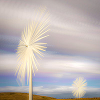 Buy canvas prints of Electric Flowers by Gareth Burge Photography