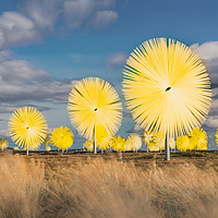 Buy canvas prints of Artificial Dandelions by Gareth Burge Photography
